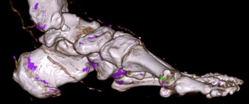 Musculoskeletal Imaging Image