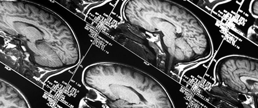 Molecular, Preclinical & Nanomedicine Image